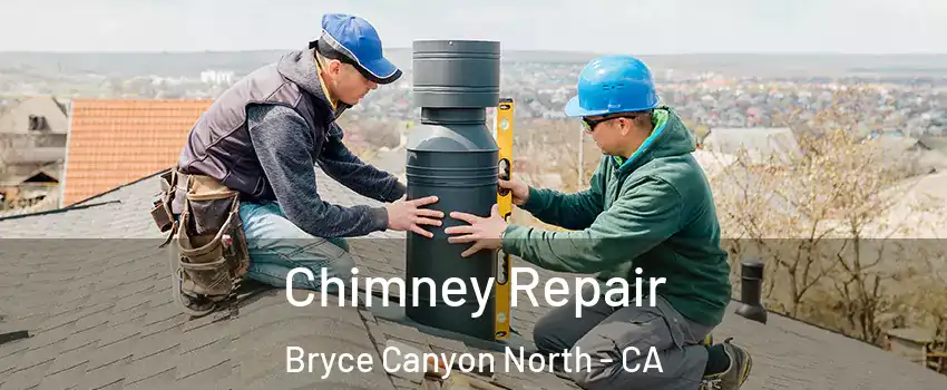 Chimney Repair Bryce Canyon North - CA