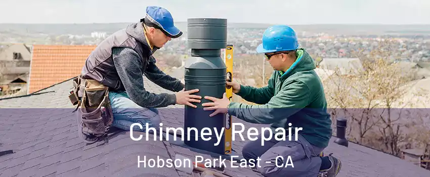Chimney Repair Hobson Park East - CA