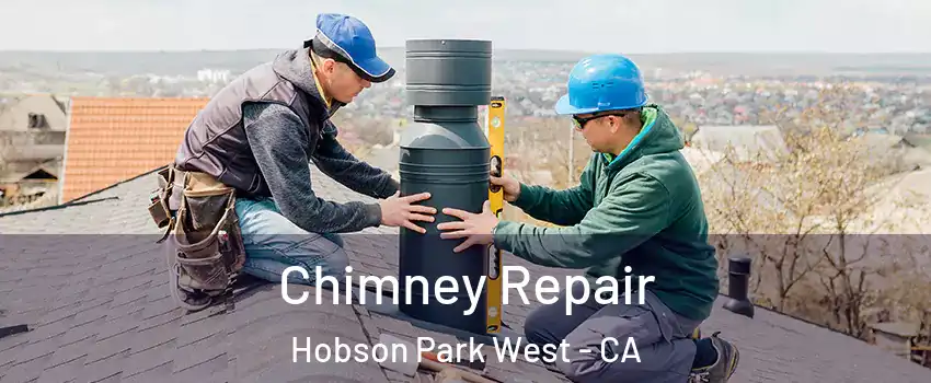 Chimney Repair Hobson Park West - CA