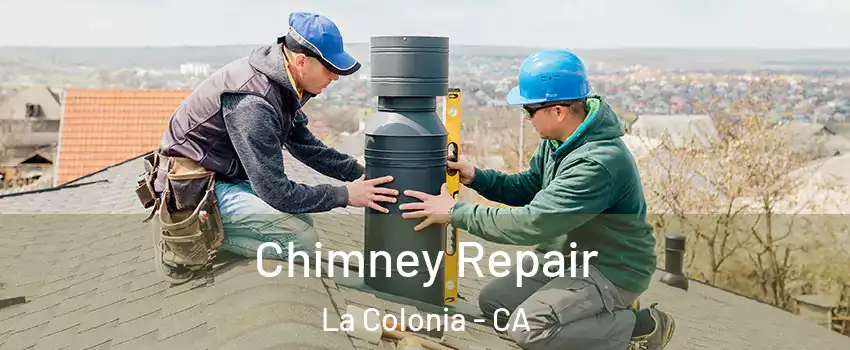 Chimney Repair La Colonia - CA