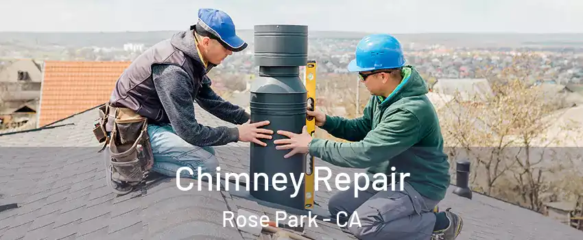Chimney Repair Rose Park - CA