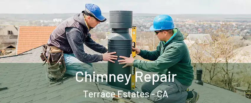 Chimney Repair Terrace Estates - CA
