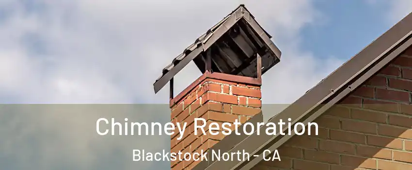 Chimney Restoration Blackstock North - CA