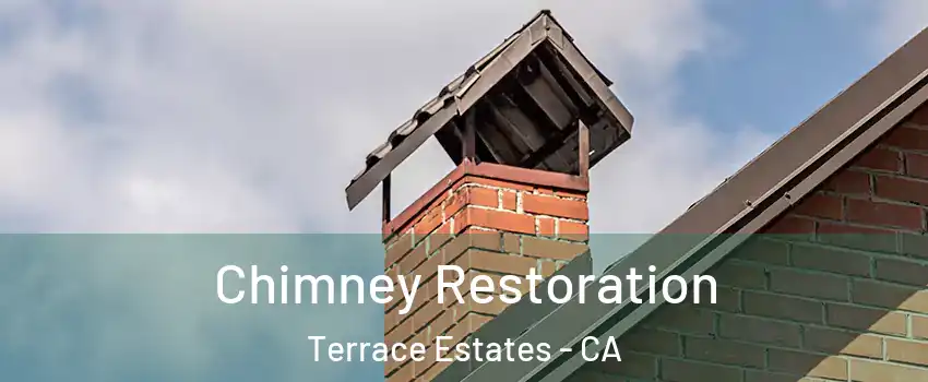 Chimney Restoration Terrace Estates - CA