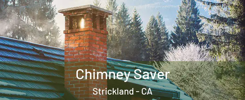 Chimney Saver Strickland - CA