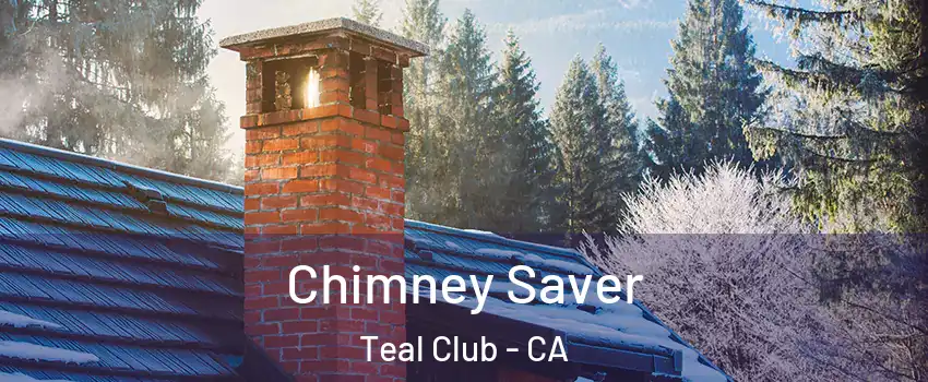 Chimney Saver Teal Club - CA