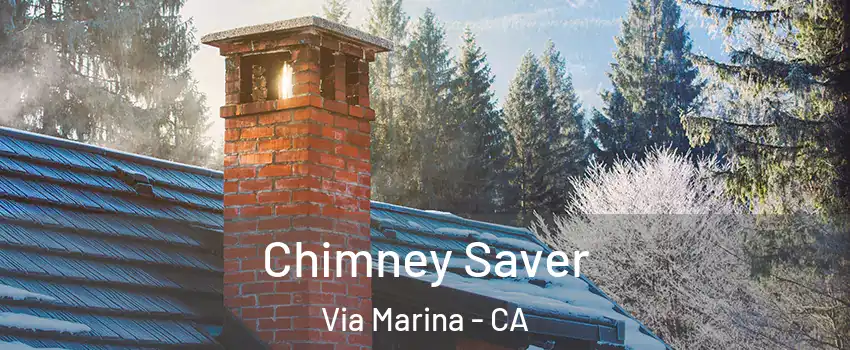 Chimney Saver Via Marina - CA