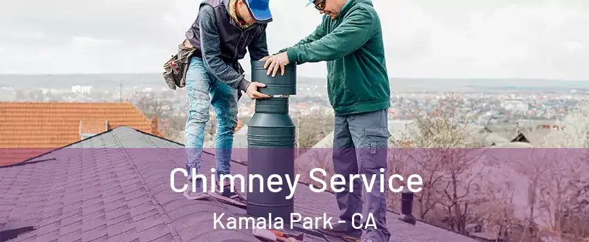 Chimney Service Kamala Park - CA