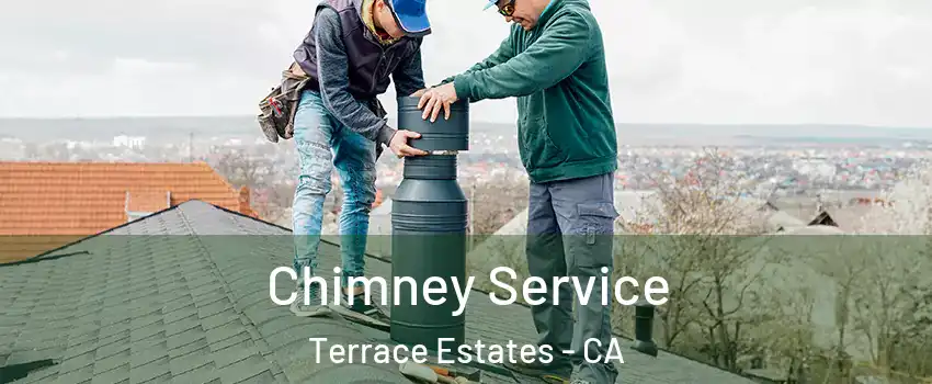 Chimney Service Terrace Estates - CA