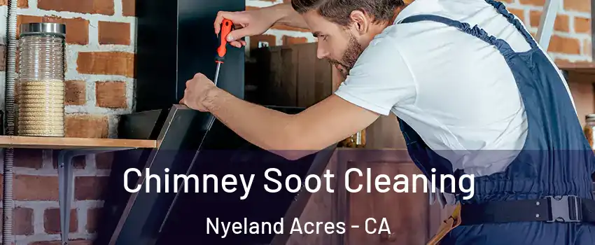 Chimney Soot Cleaning Nyeland Acres - CA