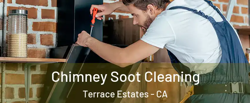 Chimney Soot Cleaning Terrace Estates - CA