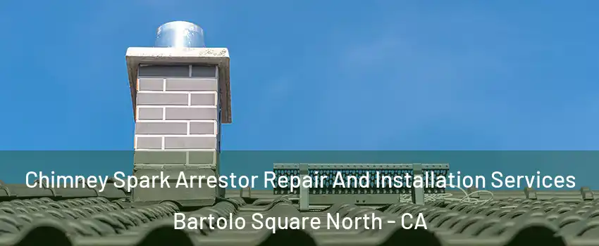 Chimney Spark Arrestor Repair And Installation Services Bartolo Square North - CA