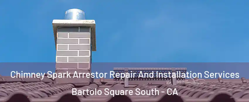 Chimney Spark Arrestor Repair And Installation Services Bartolo Square South - CA