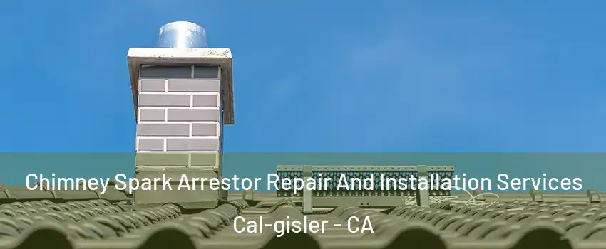 Chimney Spark Arrestor Repair And Installation Services Cal-gisler - CA