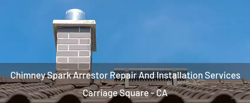 Chimney Spark Arrestor Repair And Installation Services Carriage Square - CA