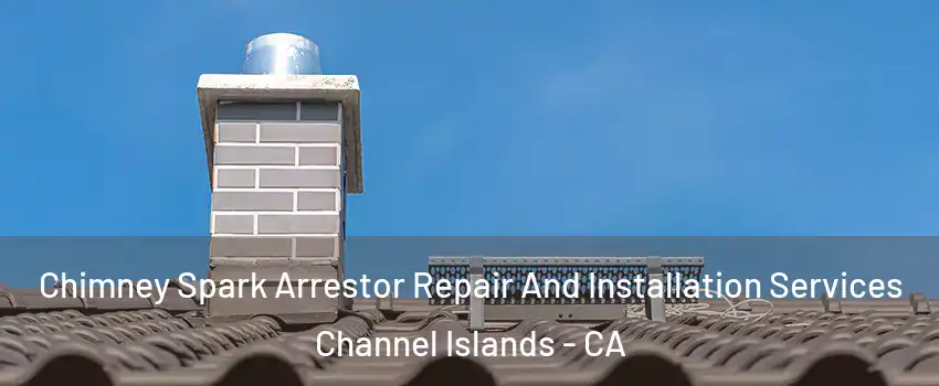 Chimney Spark Arrestor Repair And Installation Services Channel Islands - CA