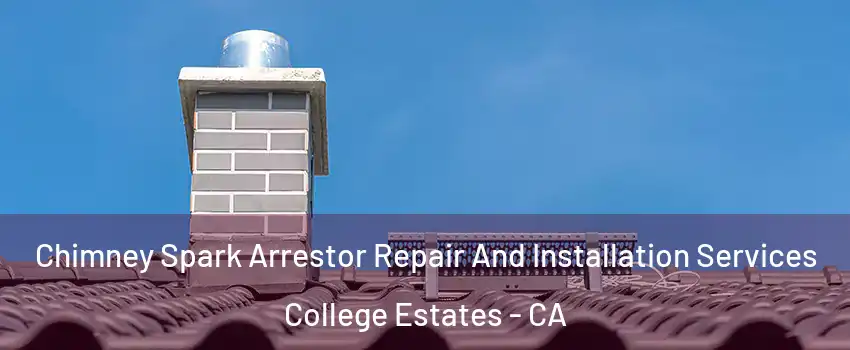 Chimney Spark Arrestor Repair And Installation Services College Estates - CA