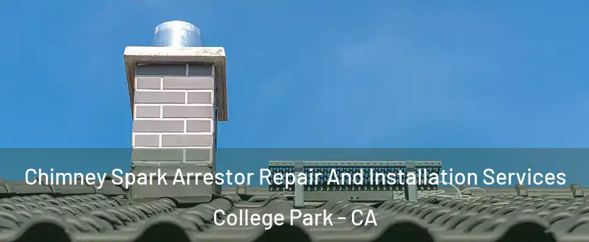 Chimney Spark Arrestor Repair And Installation Services College Park - CA