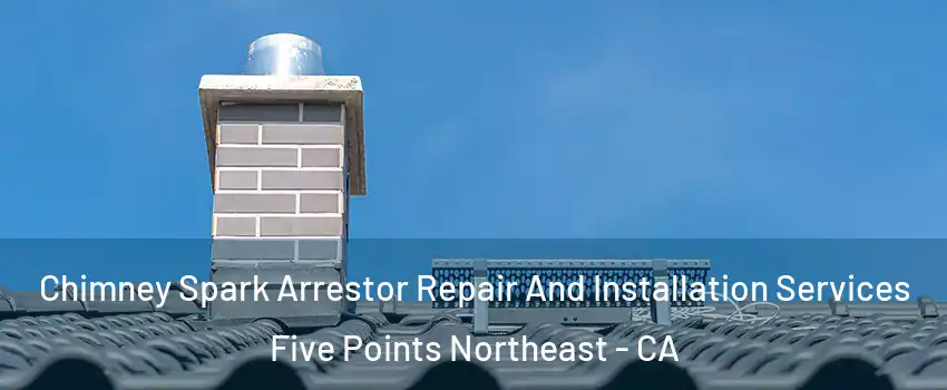 Chimney Spark Arrestor Repair And Installation Services Five Points Northeast - CA