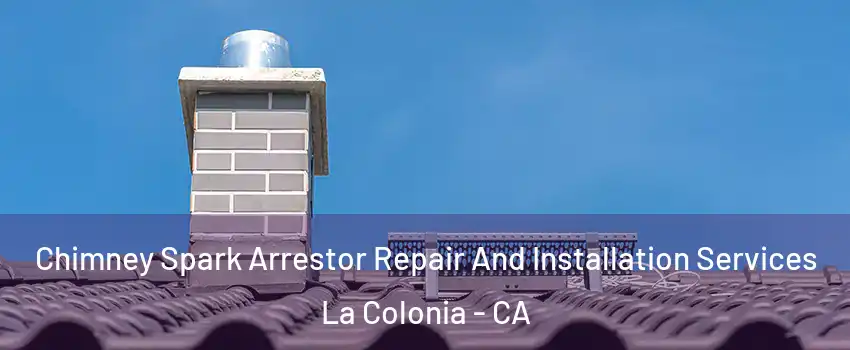 Chimney Spark Arrestor Repair And Installation Services La Colonia - CA