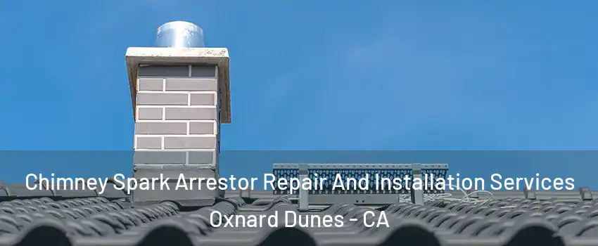 Chimney Spark Arrestor Repair And Installation Services Oxnard Dunes - CA
