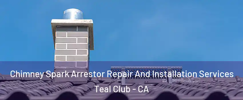 Chimney Spark Arrestor Repair And Installation Services Teal Club - CA