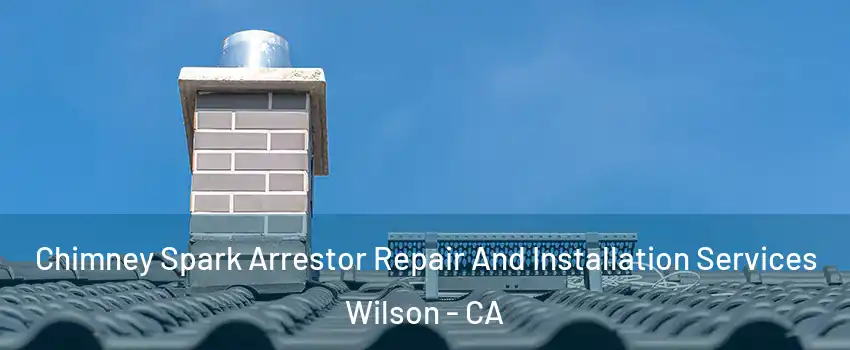 Chimney Spark Arrestor Repair And Installation Services Wilson - CA