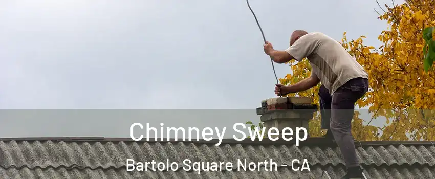 Chimney Sweep Bartolo Square North - CA