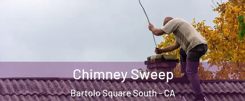 Chimney Sweep Bartolo Square South - CA
