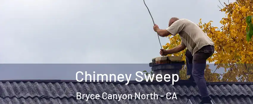 Chimney Sweep Bryce Canyon North - CA