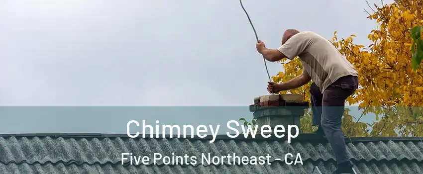 Chimney Sweep Five Points Northeast - CA