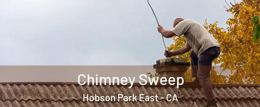 Chimney Sweep Hobson Park East - CA