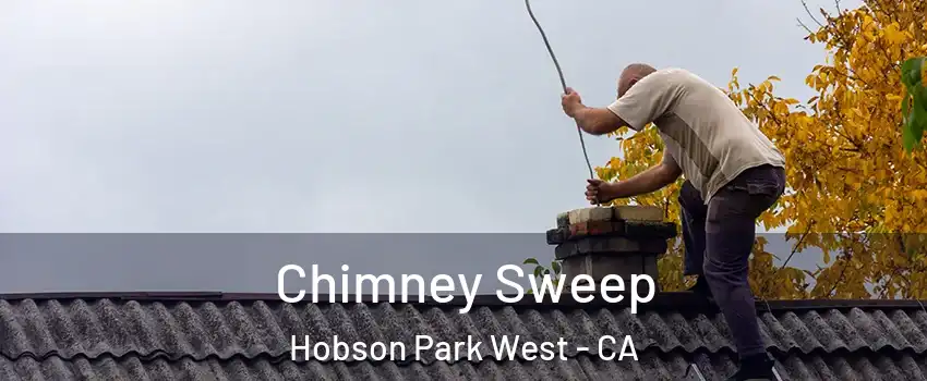 Chimney Sweep Hobson Park West - CA