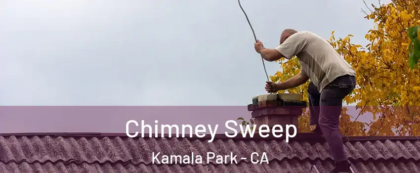 Chimney Sweep Kamala Park - CA