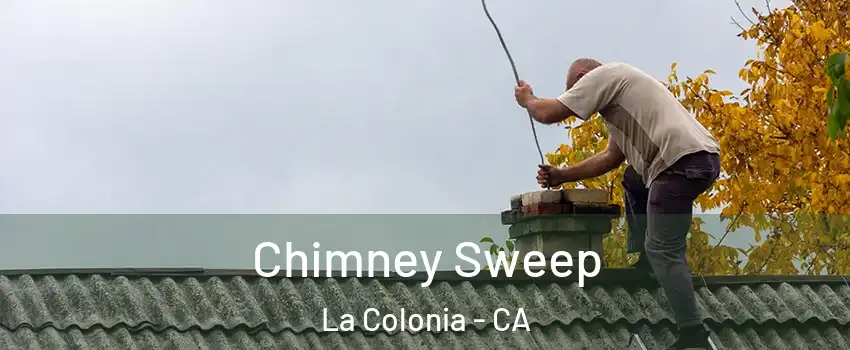 Chimney Sweep La Colonia - CA