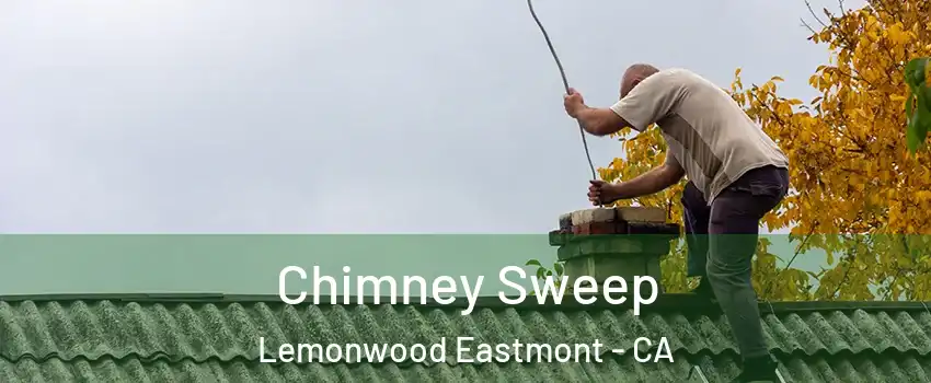 Chimney Sweep Lemonwood Eastmont - CA