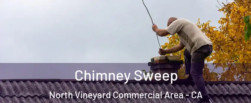 Chimney Sweep North Vineyard Commercial Area - CA
