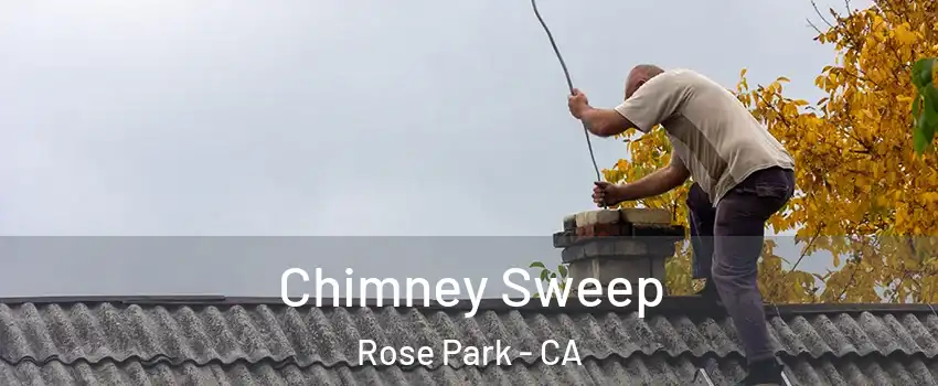 Chimney Sweep Rose Park - CA