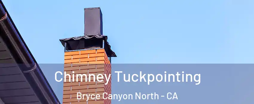 Chimney Tuckpointing Bryce Canyon North - CA