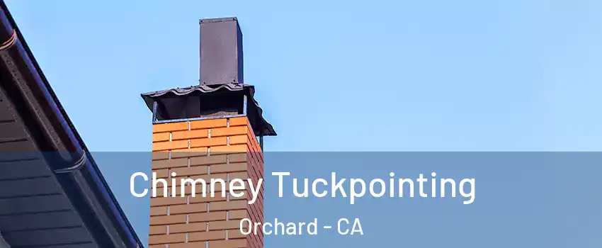 Chimney Tuckpointing Orchard - CA