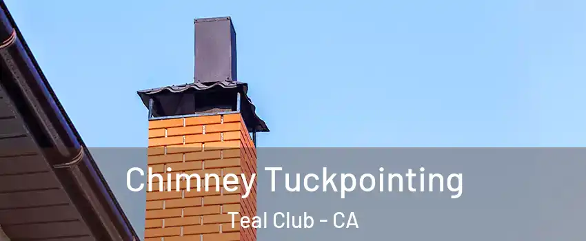 Chimney Tuckpointing Teal Club - CA