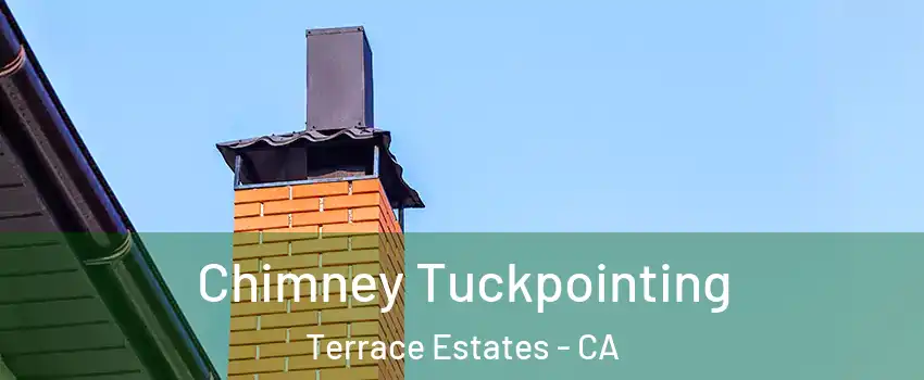 Chimney Tuckpointing Terrace Estates - CA