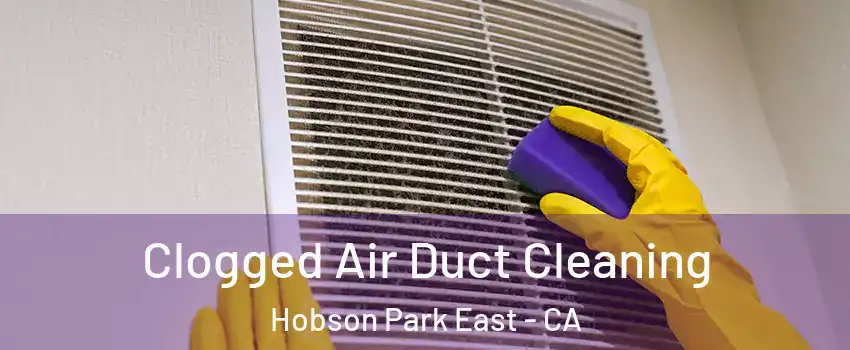 Clogged Air Duct Cleaning Hobson Park East - CA