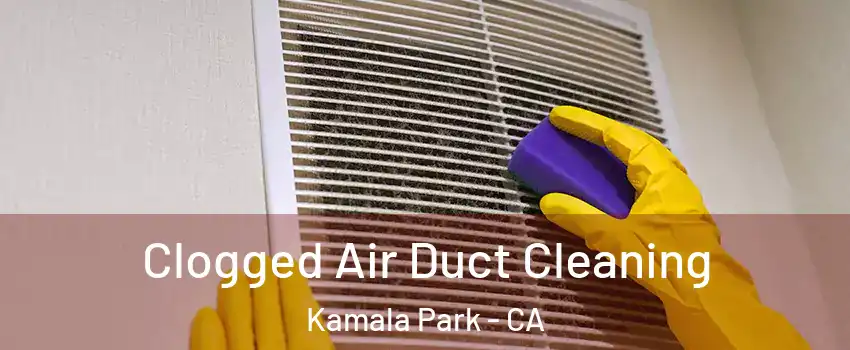 Clogged Air Duct Cleaning Kamala Park - CA