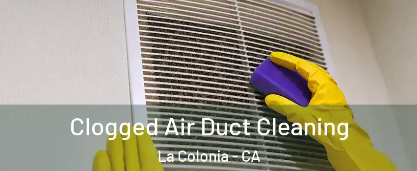 Clogged Air Duct Cleaning La Colonia - CA