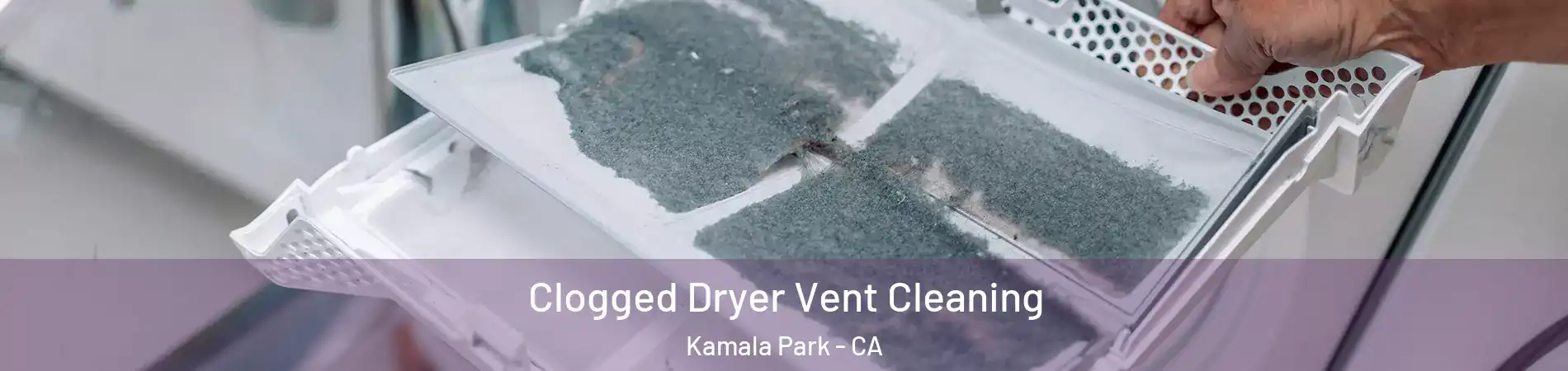 Clogged Dryer Vent Cleaning Kamala Park - CA