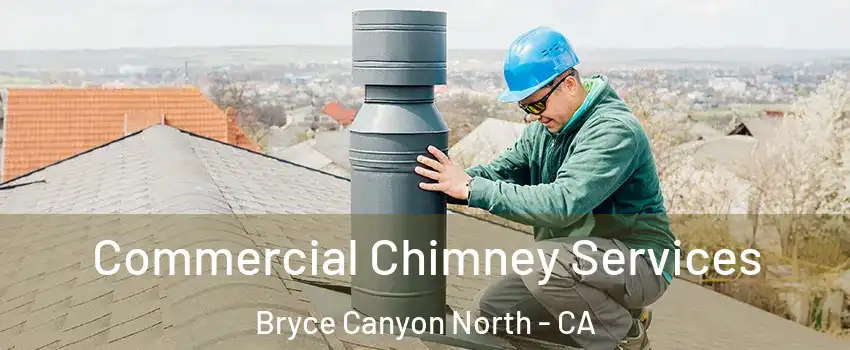 Commercial Chimney Services Bryce Canyon North - CA