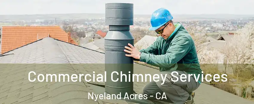 Commercial Chimney Services Nyeland Acres - CA