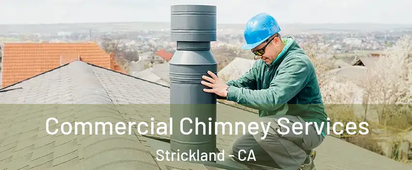 Commercial Chimney Services Strickland - CA