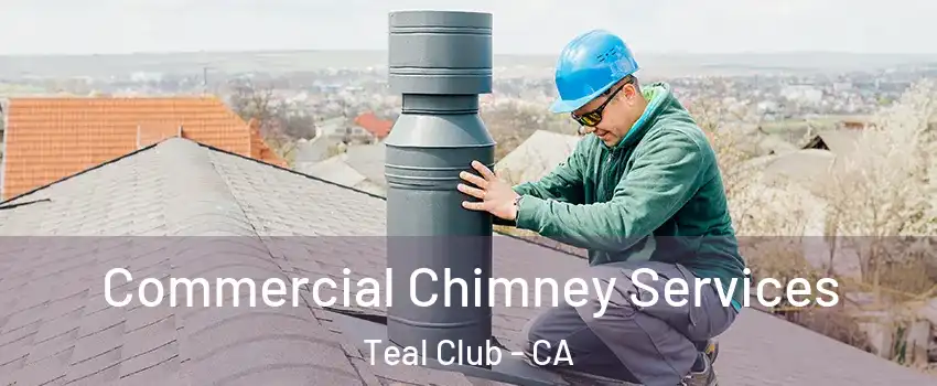 Commercial Chimney Services Teal Club - CA